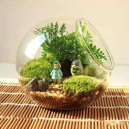 定于柏鄉(xiāng)9月19日